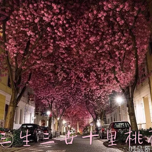 国产成人aaa在线视频免费观看
