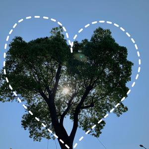 国产成人aaa在线视频免费观看
